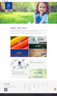 專注數字未來 佛山市火龍科技——您的網站設計、軟件開發與移動互聯網一體化解決方案專家